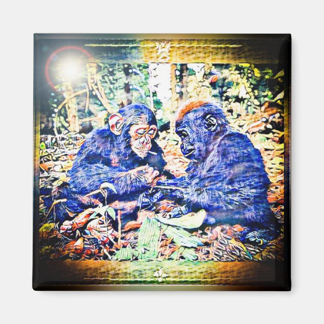 Chimp & Gorilla Cooperation 01 Magnet (Framsidan)