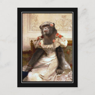 Chimp in Gown Vykort