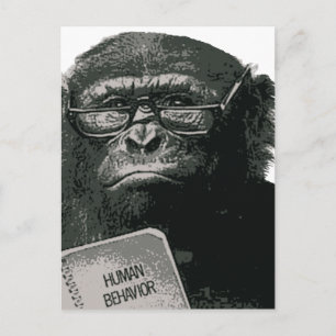 Chimp Reading Vykort