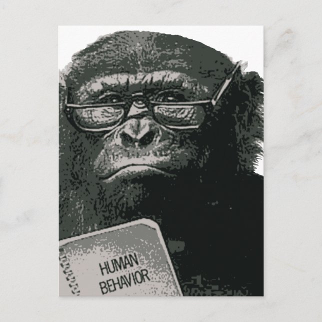 Chimp Reading Vykort (Framsida)