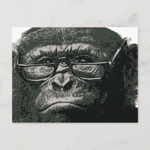 Chimp Reading Vykort
