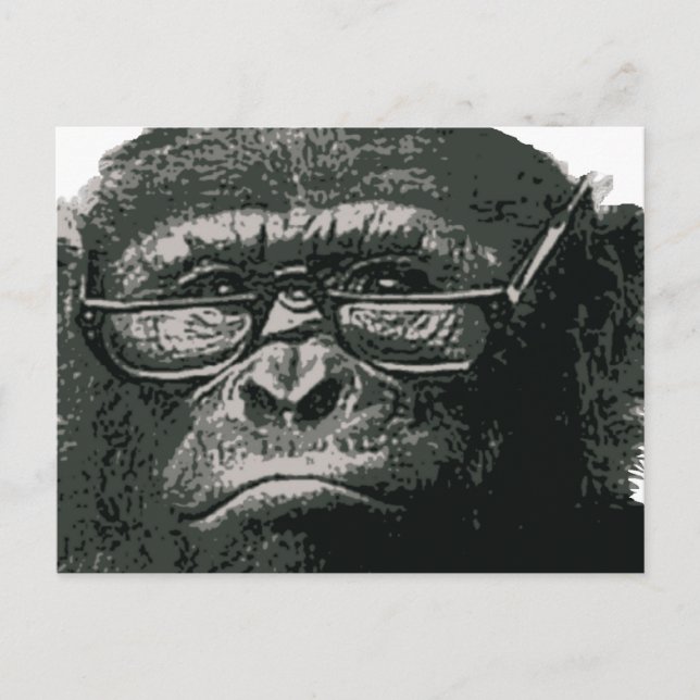 Chimp Reading Vykort (Framsida)