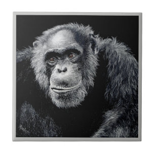 Chimp Tile - "Jacob" Kakelplatta