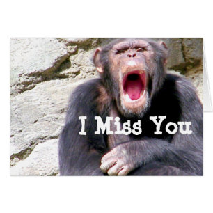 Chimpans_ Hälsningskort