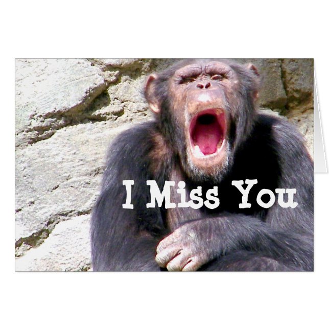 Chimpans_ Hälsningskort (Framsidan Horizontal)