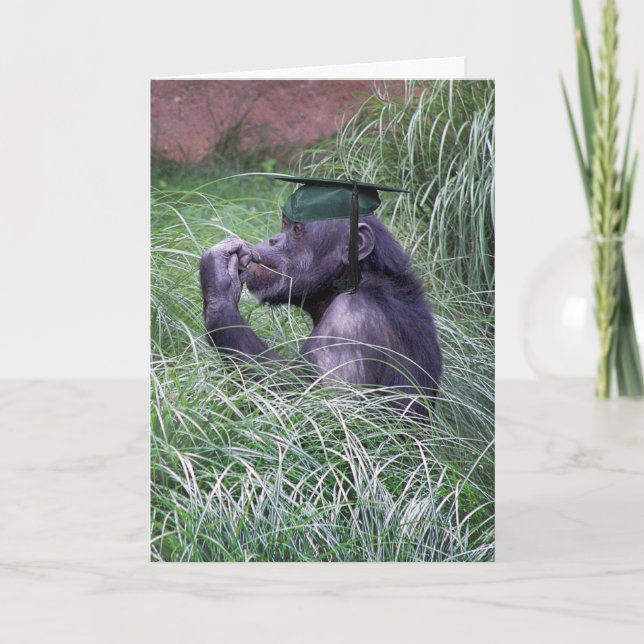 Chimpans med Grönt Studentmössa Kort (Framsida)