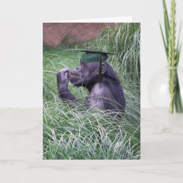 Chimpans med Grönt Studentmössa Kort