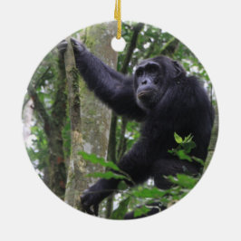 Chimpans Ornament