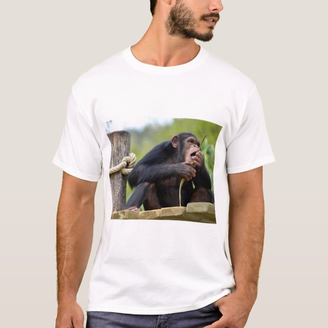 Chimpans på plank och att äta en bark träd-affisch t shirt (Framsida)