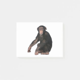 Chimpans Post-it Block