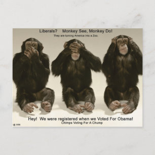 Chimpanser för en chump vykort