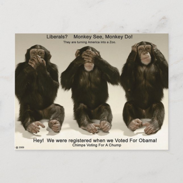 Chimpanser för en chump vykort (Framsida)