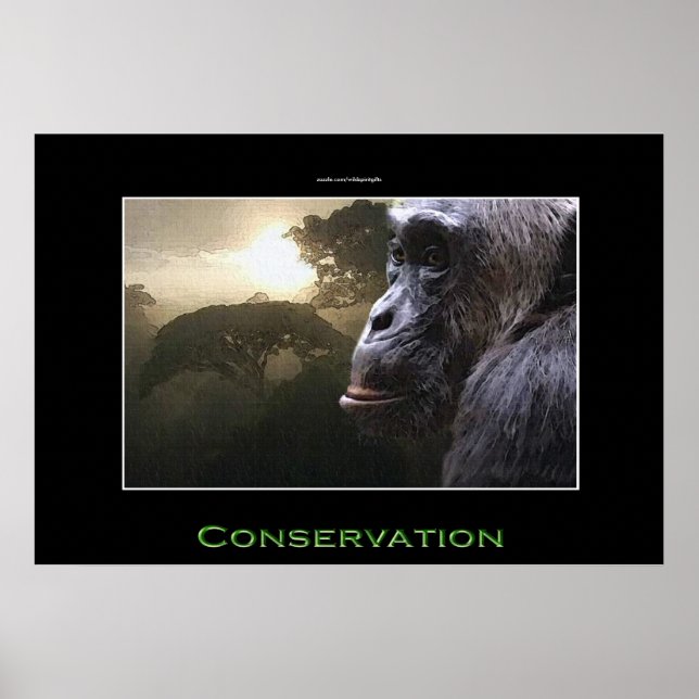 Chimpanzans ConERVATION Wildlife Art Poster (Framsidan)