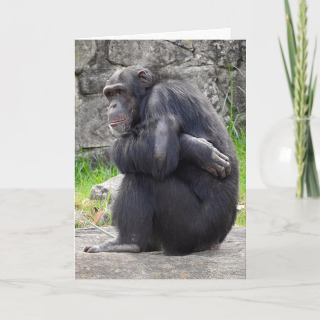 Chimpanzans-hälsningskort Kort (Framsida)