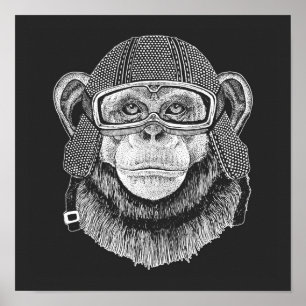 Chimpanzans motorcykelförare poster