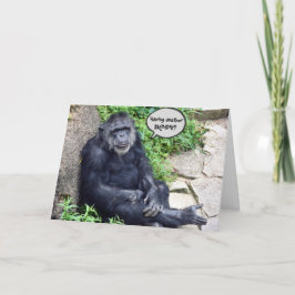 Chimpanzas - att bli äldre kort