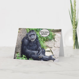 Chimpanzas - att bli äldre kort