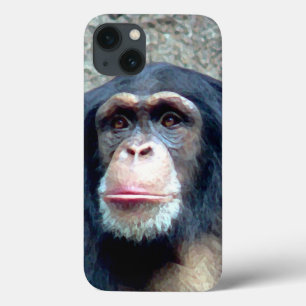 Chimpanzee