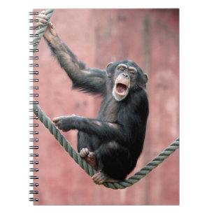 Chimpanzee 001 anteckningsbok med spiral