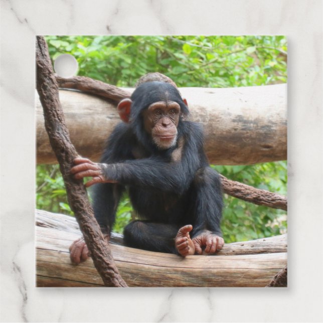 Chimpanzee 001 gåvor etiketter (Framsida)