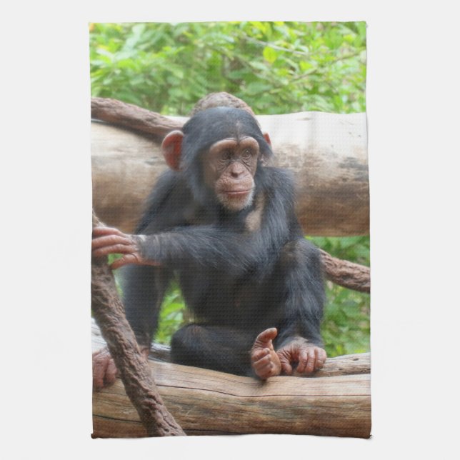 Chimpanzee 001 kökshandduk (Vertikal)