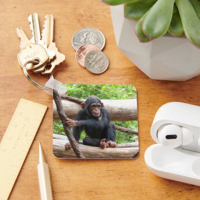 Chimpanzee 001 nyckelring (Skrivbord)