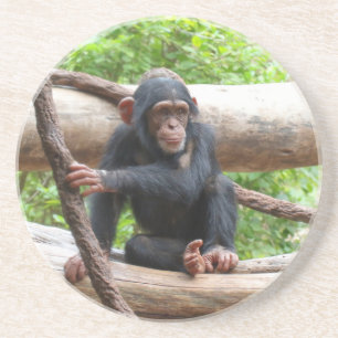 Chimpanzee 001 underlägg