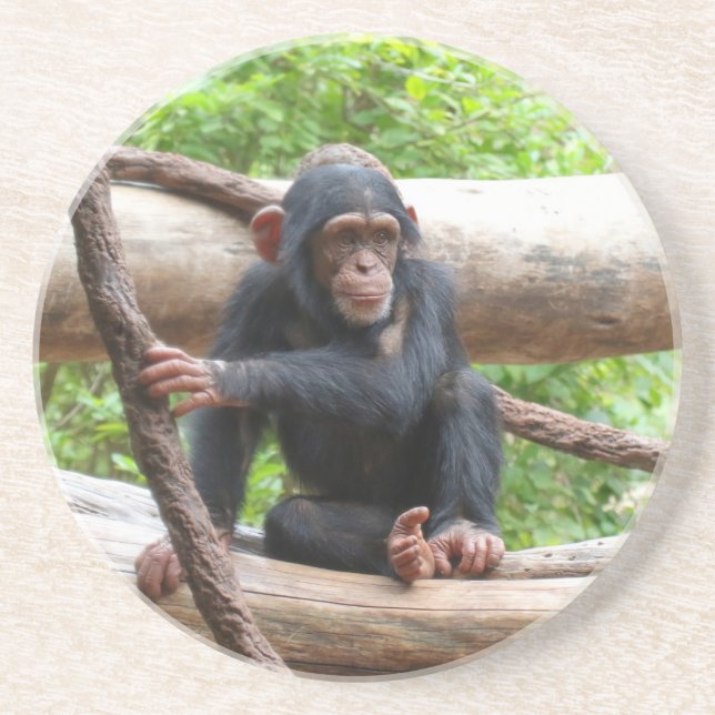 Chimpanzee 001 underlägg (Framsidan)
