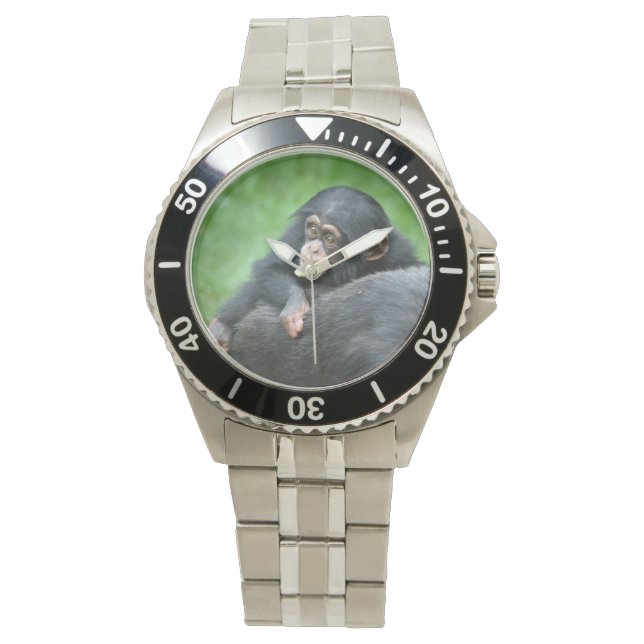 Chimpanzee 005 armbandsur (Framsida)