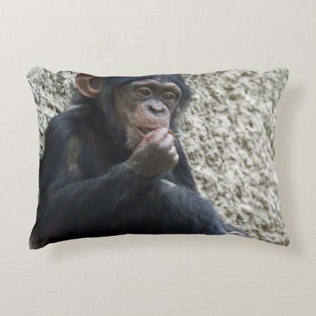 Chimpanzee 013 prydnadskudde (Framsidan)