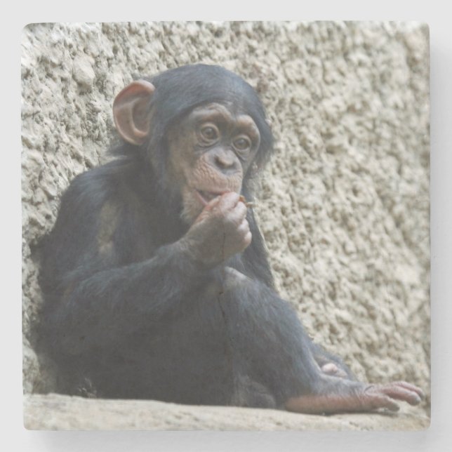 Chimpanzee 013 stenunderlägg (Framsidan)