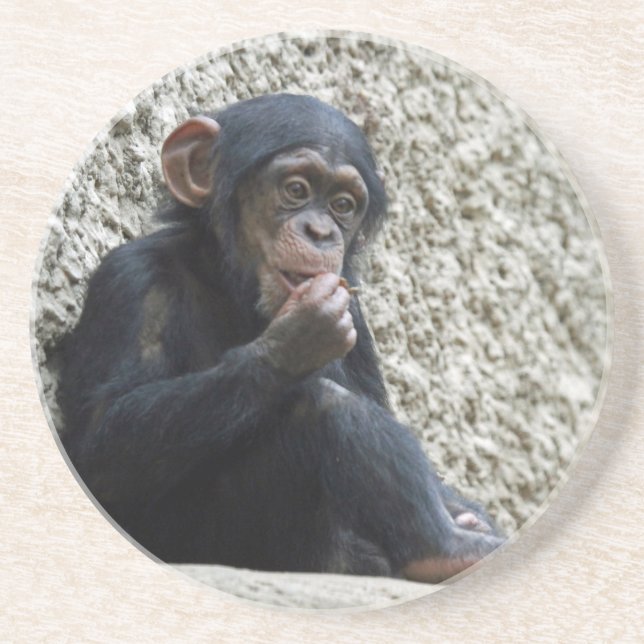 Chimpanzee 013 underlägg (Framsidan)