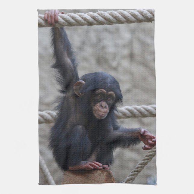 Chimpanzee 017 kökshandduk (Vertikal)