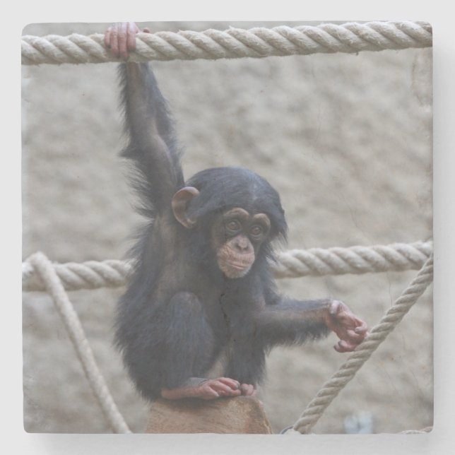 Chimpanzee 017 stenunderlägg (Framsidan)