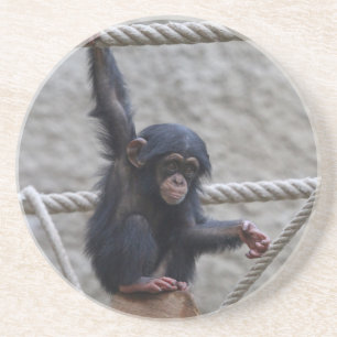 Chimpanzee 017 underlägg