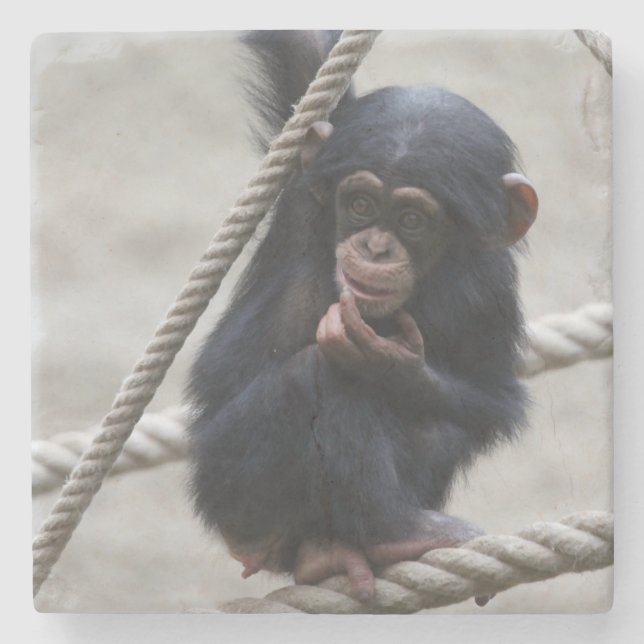 Chimpanzee 030 stenunderlägg (Framsidan)