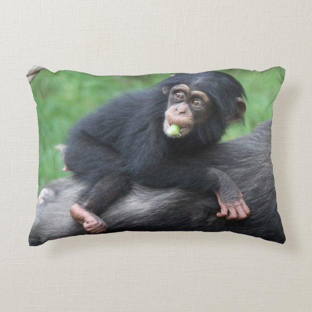 Chimpanzee 032 prydnadskudde (Framsidan)