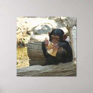 Chimpanzee_2015_0101 Canvastryck