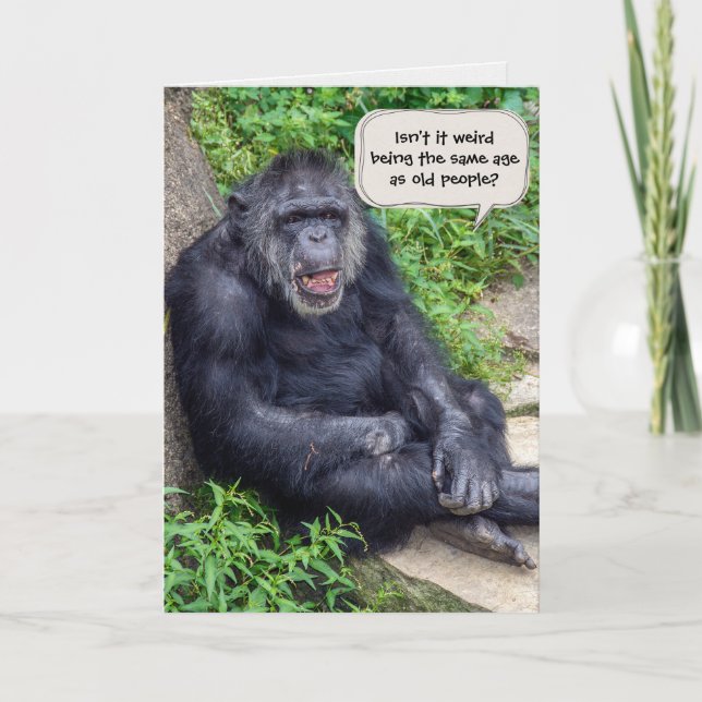 Chimpanzee Birthday Humor Kort (Framsida)