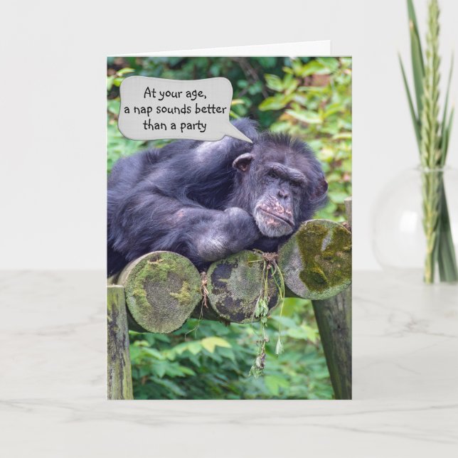 Chimpanzee Birthday Humor Kort (Framsida)