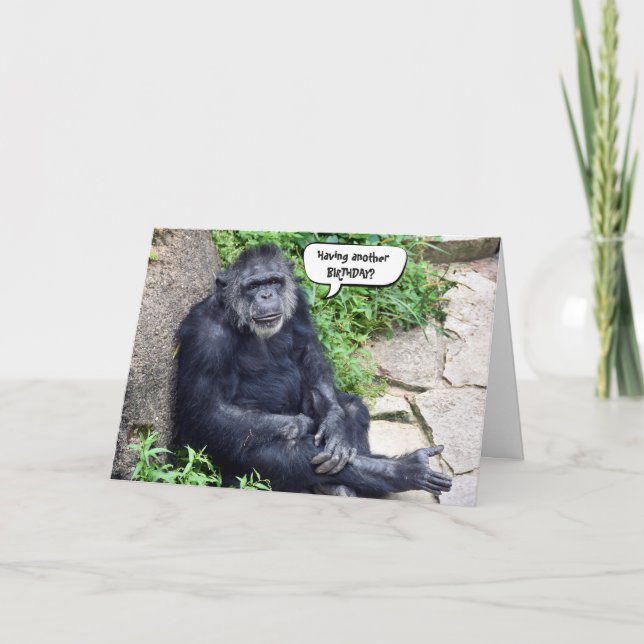 Chimpanzee Birthday Humor Kort (Framsida)