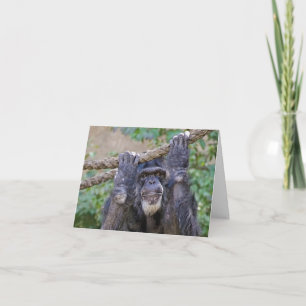 Chimpanzee Birthday Humor Kort