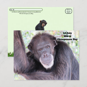 Chimpanzee-dagen efter genomresa över världen - 14 vykort