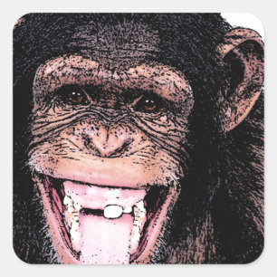 Chimpanzee Fyrkantigt Klistermärke