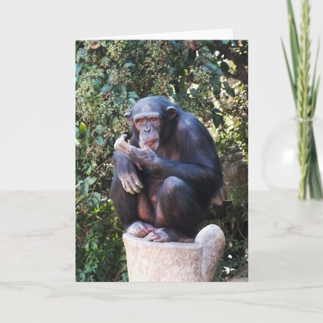 Chimpanzee Helgkort (Framsida)