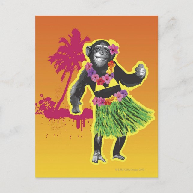 Chimpanzee Hula Dancing Vykort (Framsida)