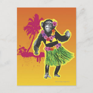 Chimpanzee Hula Dancing Vykort