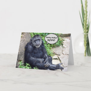 Chimpanzee Humous Birthday Kort