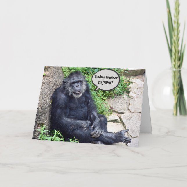 Chimpanzee Humous Birthday Kort (Framsida)