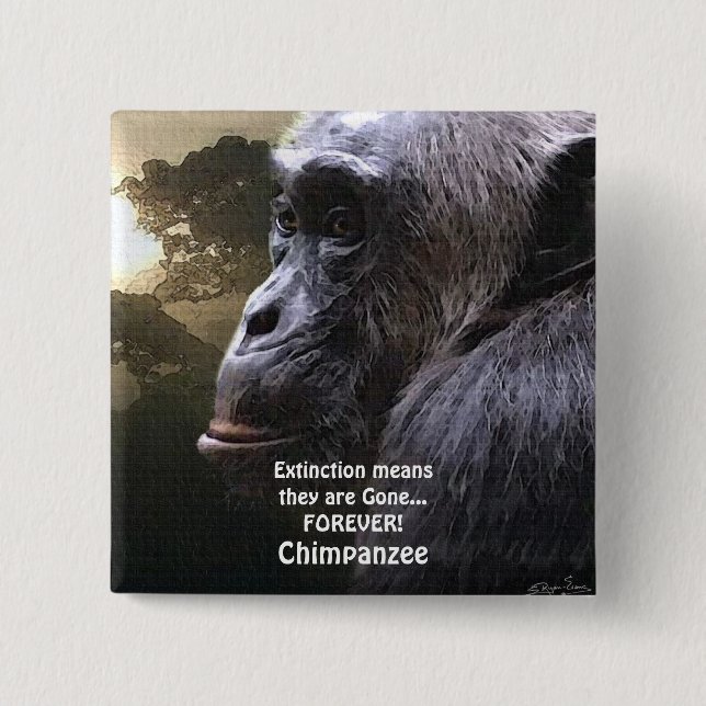 CHIMPANZEE III EXTINCTION Wildlife Button Knapp (Framsida)